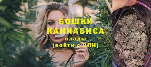 шишки Бронницы