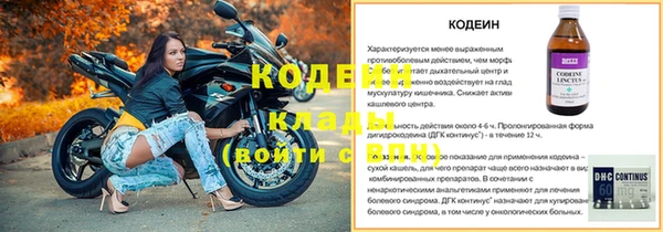 винт Богданович