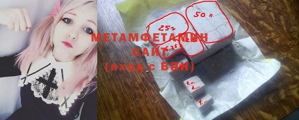 шишки Бородино